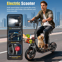 FREEBOY H14 Trottinette électrique pas cher