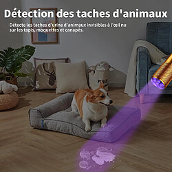 Lampe portative sans fil