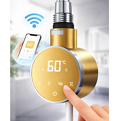 OTITEC Sèche-serviettes électrique – 124 x 50 cm – Doré brossé – 500W - Avec thermostat connecté - CHARLI pas cher