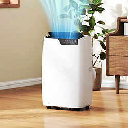 Avis Climatiseur Mobile - 9000 Btu - Wifi Contrôle