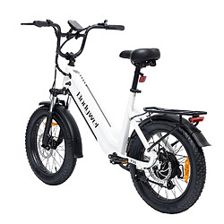 Avis Vélo Pliable Bodywel F20 48V 13.5Ah 25km/h