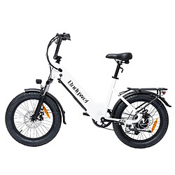 Acheter Vélo Pliable Bodywel F20 48V 13.5Ah 25km/h