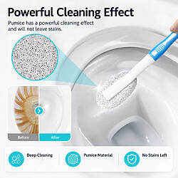 Avis INF Brosse de nettoyage de salle de bain avec pierre ponce