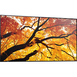 Avis Sharp M502