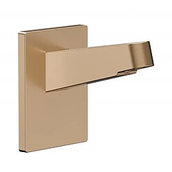 Avis Hansgrohe Pulsify accessoire robinetterie - Bronze