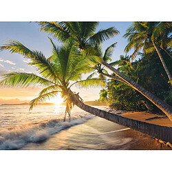 Puzzle adulte