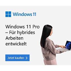 Acheter Microsoft Windows 11 Pro 64 bits - Clé USB