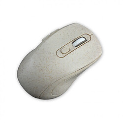 Souris