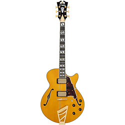 Avis Excel SS Amber D'Angelico