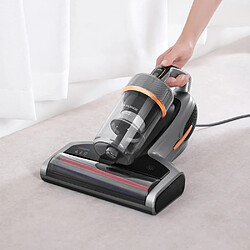 Aspirateur à main