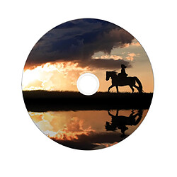 Acheter Verbatim DVD vierge 43667 - 25 unités