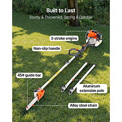 VEVOR 4300 - Orange/Black/Silver - 43 cc - Guide 25,4 cm - Perche 2,11-3,61 m - Réservoir 850 ml pas cher