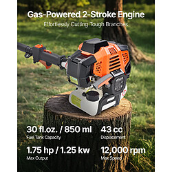 Avis VEVOR 4300 - Orange/Black/Silver - 43 cc - Guide 25,4 cm - Perche 2,11-3,61 m - Réservoir 850 ml