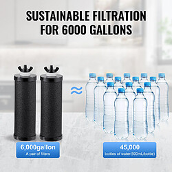 Acheter VEVOR k8626A - 2,25 gal (8,5 L) - Inox SUS304 - 2 filtres charbon actif et ultrafiltration - Réduit 99 % du chlore