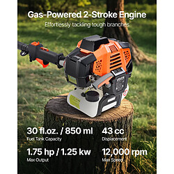 Avis VEVOR 4300 - Orange/Black/Silver - 43 cc - Perche extensible 2,08–3,58 m