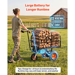Acheter VEVOR EWB7614 - 226 kg - Batterie 432 Wh - 3 roues