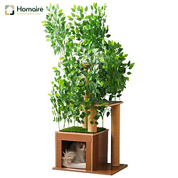 Arbre à chat