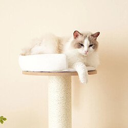 Acheter HOMAIRE Arbre à chat marron en mdf 60 x 48 x 135 cm