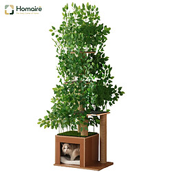 Arbre à chat