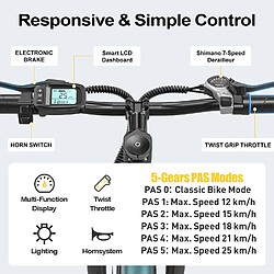 Acheter Vélo Électrique De Ville Aairsk Gt300, 26", 36 V, 250 W, 10 Ah, Nfc, Noir