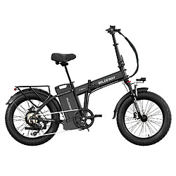 Acheter Vélo Électrique Pliable Wildeway FW11, 1680 Wh, Pneus 20", Noir