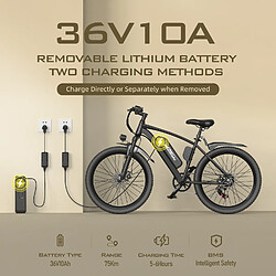 Avis Aairsk Vélo Électrique 26" Mairide Q7, 36V 10Ah, 7 Vitesses, Noir