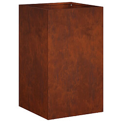 Avis vidaXL Cache-pot de jardin 2 pc Rouillé 30 x 30 x 40 cm Acier patiné