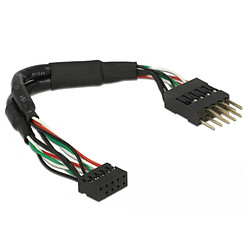 Acheter Delock Câble USB interne 10 broches - 12 cm - Noir