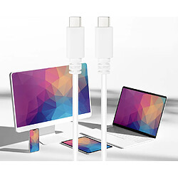 Avis Nanocable Câble USB-C 2.0 - 1 m