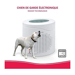 Sonnette & visiophone connecté