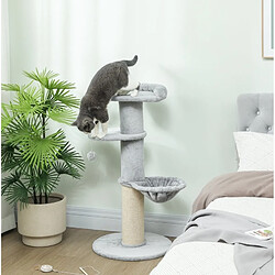 Arbre à chat