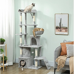 Arbre à chat
