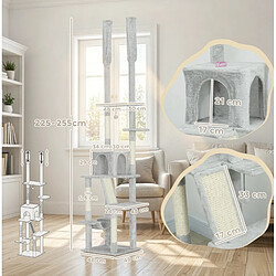 Acheter OKWISH Arbre à chat réglable 225-255 cm, 6 niveaux, gris clair et crème