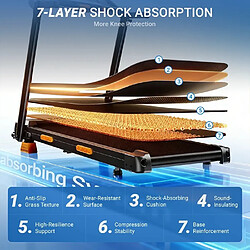 Avis Lontek SF20 Tapis de Course Pliable, Inclinaison 10%/15%, 12 KM/H, 136 KG, Moteur Silencieux