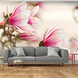 Paris Prix Branch of Magnolia Tree Papier peint intissé - Multicolore - Format mural 193x250 cm