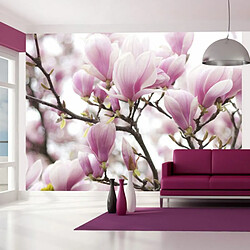 Paris Prix Magnolia en Fleurs 270x350 Papier peint mural - Papier intissé 110 g/m² - Impression résistante à l'eau - Multicolore