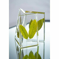 Acheter Pebeo Kit résine cristal - Transparent
