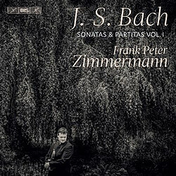 Sonates et Partitas Volume 1