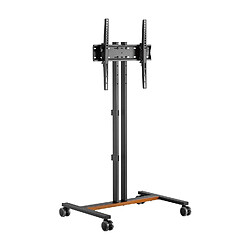 Avis Aisens FT55TE-213 - Noir