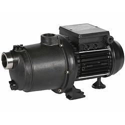 Surpresseur 1cv mono - BOOST1M - STA RITE Surpresseur 1 CV - Mono - Polypropylène - Anti-corrosion - Ultra silencieux