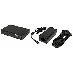 Disney Intellinet 5-Port Switch