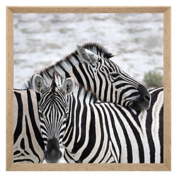 Atmosphera, Createur D'Interieur Atmosphera Animaux