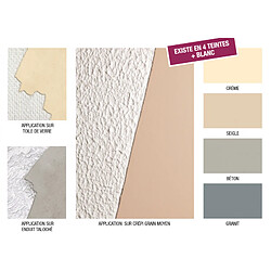 APARA Enduit Décoratif Redecore - Béton