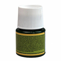 Avis Pébéo Peinture porcelaine brillante - Olive - 45 ml