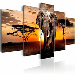 Paris Prix Elephant Migration