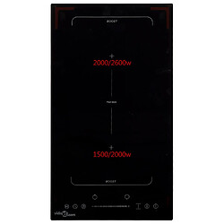 Avis vidaXL Flexizone 2 Brûleurs - 3500W