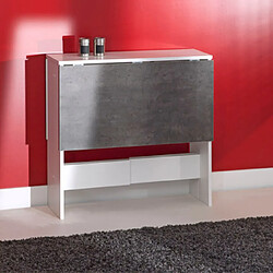 MES Table Pliante 2 Abattants