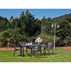 Alter Table de jardin rectangulaire - Anthracite