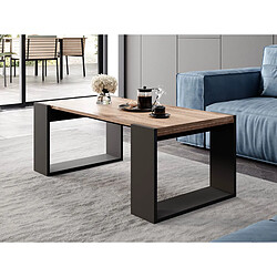 BESTMOBILIER Willow - Bois/Gris