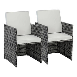 Habitat et Jardin Lot de 2 Fauteuils Chicago Gris